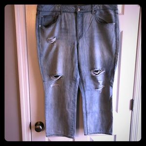 American eagle boy crop